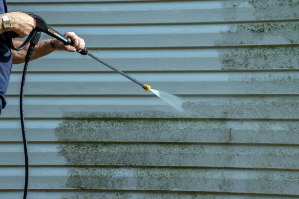 Best Roof Washing  in Caledonia, MI