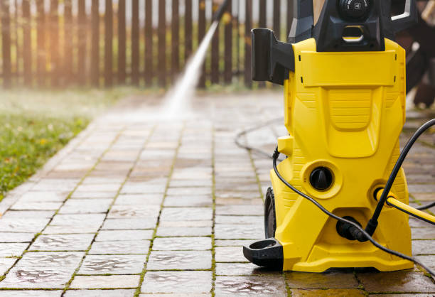 Animal Enclosure Cleaning in Caledonia, MI